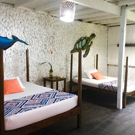 Hotel Refugio Mr Jerry Eco House Bahia Solano Zewnętrze zdjęcie